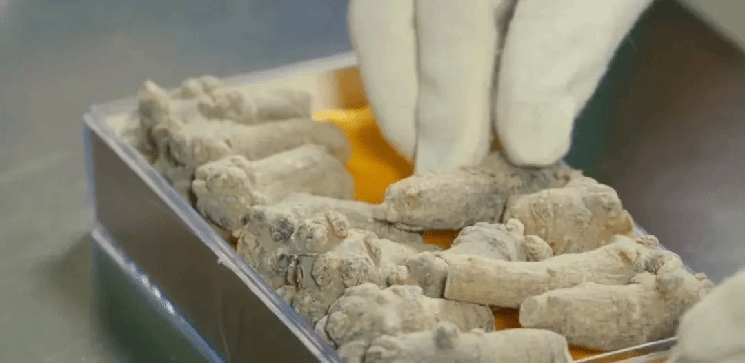 BB电子游戏(中国集团)官方网站