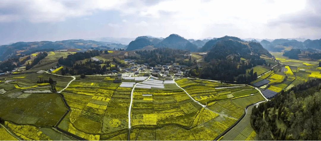 BB电子游戏(中国集团)官方网站