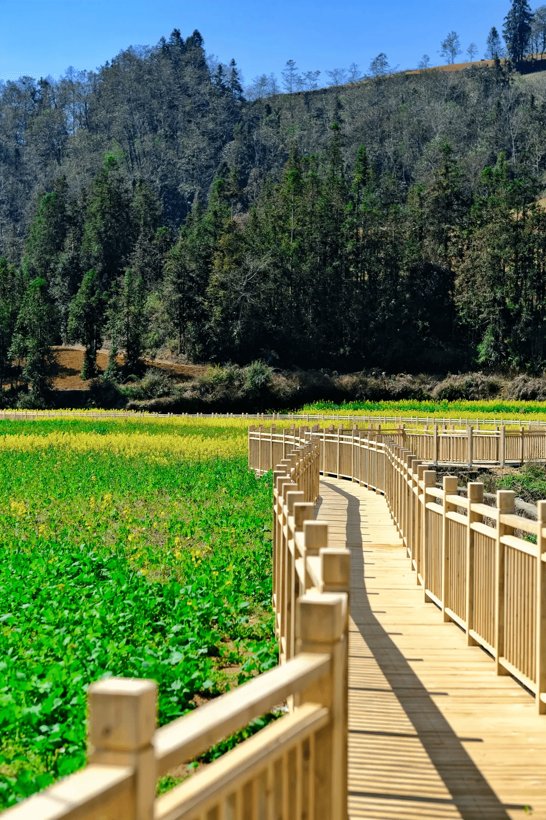 BB电子游戏(中国集团)官方网站