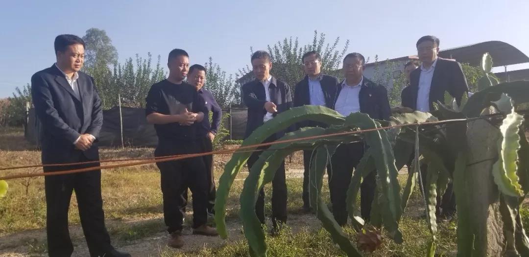 BB电子游戏(中国集团)官方网站