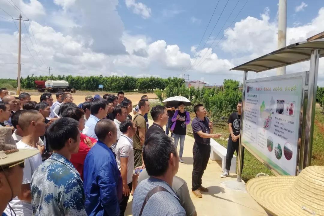 BB电子游戏(中国集团)官方网站