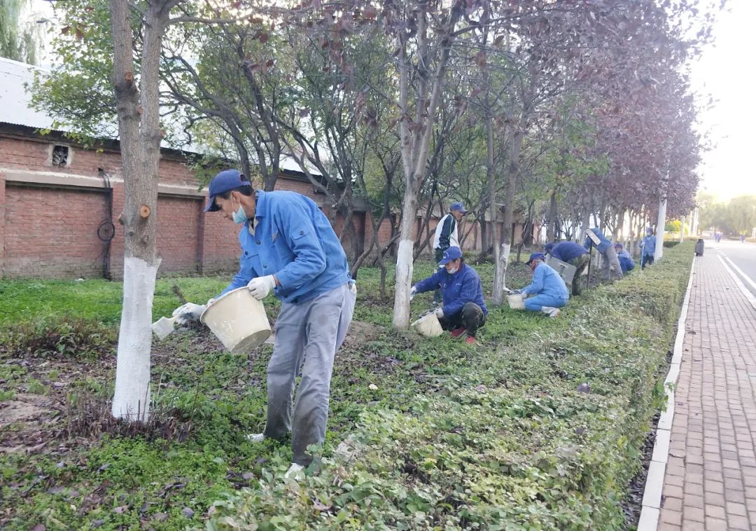 BB电子游戏(中国集团)官方网站
