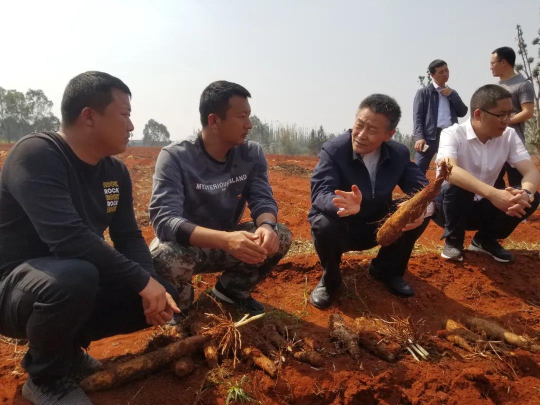 BB电子游戏(中国集团)官方网站