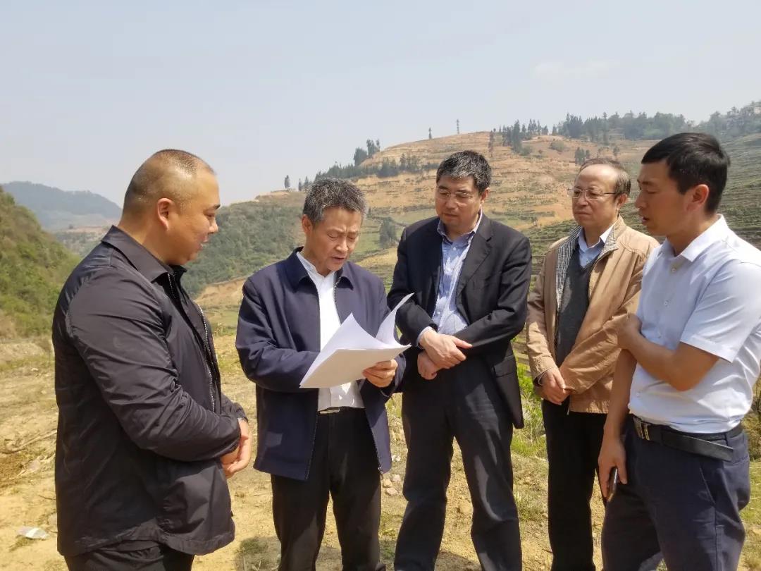 BB电子游戏(中国集团)官方网站